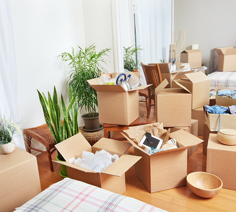 Domestic Home Goods Relocation